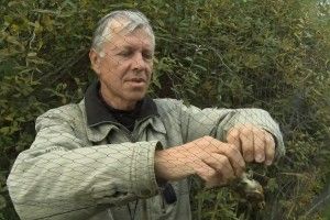 Орнітолог із Волині побував у Німеччині