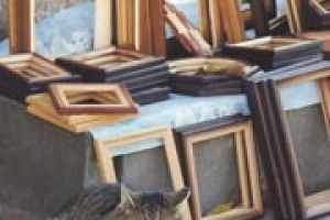 ФОТОЖАРТ: Мурчик-бізнесмен