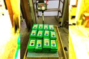 В Україну припливли банани з кокаїном (Фото)