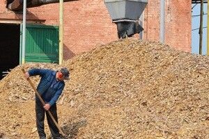 Головний лісник Волині закликає громади переходити на тверде паливо – обіцяє помогти