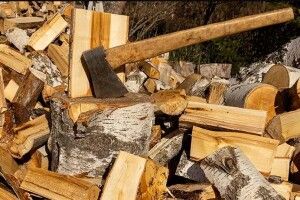 Поліцейські встановили шахрая, який начебто продавав дрова