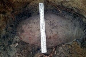 На Волині піротехніки виявили та знешкодили боєприпаси часів минулих воєн