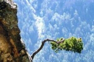 ВИСТАВКИ: підсумок екстремального року