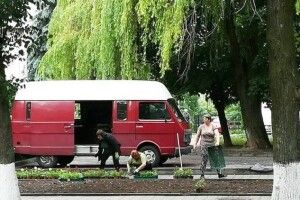 На Проспекті Волі продовжують облаштовувати клумби 