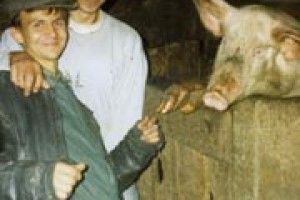 ФОТОЖАРТ: «А що, рік Свині вже справді закінчується?»