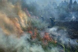 У Ковельському районі згоріло понад два гектари трави
