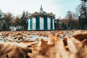Навіщо відмовлятись від використання тварин в цирках?