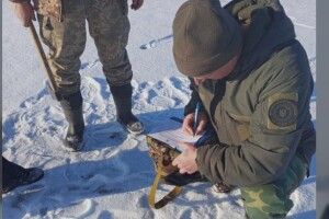На Волині рибалка-порушник отримав адмінпротокол за зайві жерлиці