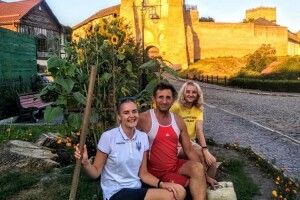 На місці Лесиного ясена в Луцьку посадили чорнобривці й соняшники (Фото)