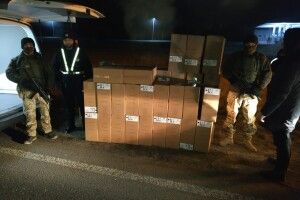 На Волині в мікроавтобусі знайшли 30 тисяч контрафактних пачок сигарет (відео)