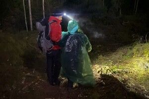 На Львівщині 86-річну любительку «тихого полювання» шукали рятувальники