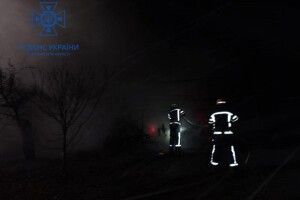 У Нововолинську на дачному масиві горів будинок