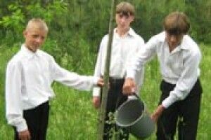 БЛАГОДІЙНІСТЬ: дуб із Німеччини росте у Затурцях