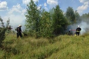 На Волині горіла суха трава
