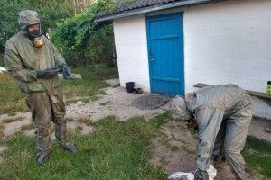 На Рівненщині бійці ДСНС знешкодили кубло шершнів (Фото)