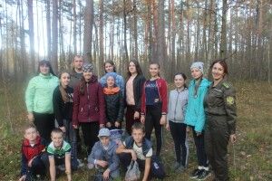 На Волині бачили ліннею північну