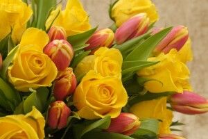 Горді троянди і ніжні тюльпани… чекають вироку суду