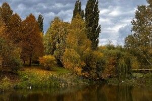 Синоптики попереджають про сильний вітер на Волині