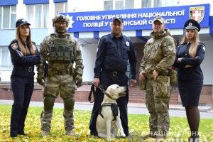 Волинська поліція запрошує на роботу: посади і зарплата