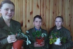 У Колківському лісництві вже доспіли суниці