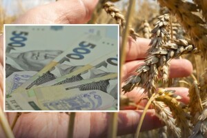 Як покарали пенсіонера з Волині, який посіяв пшеницю біля озера 