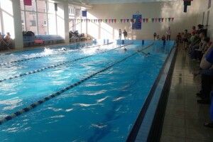 Змагання із плавання у Ковелі зібрали школярів із трьох областей