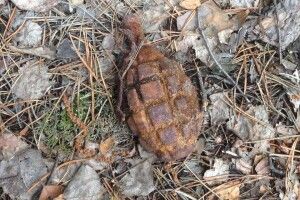 У Луцькому районі на Волині рибалка замість риби упіймав... гранату