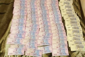 На Волині вилучили незаконну деревину вартістю близько 800 тисяч гривень (Фото)