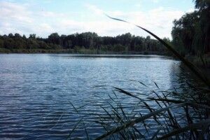 На Волині горе-бізнесмен самовільно «привласнив» ставок площею майже 200 га