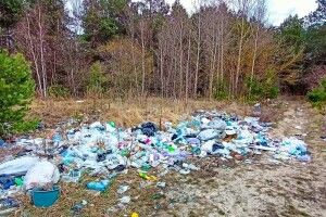 Волинський ліс перетворили на смітник (Фото)