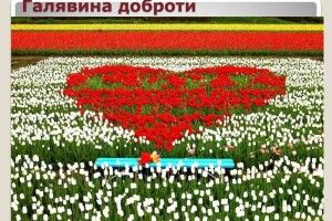 На Горохівщині вчителі зустрілися з батьками на Галявині доброти