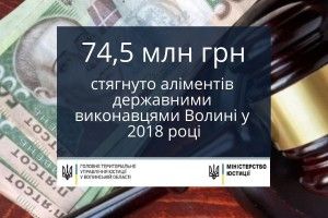 Державні виконавці Волині «вибили» з боржників 74,5 мільйони гривень