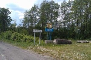 28-літня жінка врятувала Любохини від загибелі