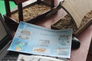 Птахи ждуть нашої допомоги
