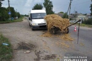 Трагедія на Рівненщині: «Ford Transit» влетів у підводу – їздовий впав на асфальт і розбив голову