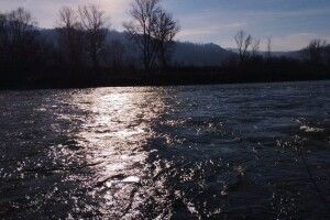 У річці Тиса прикордонники виявили тіло потопельника (Відео)