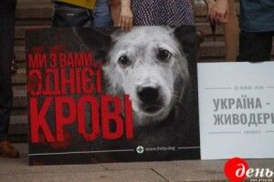 В Україні вводять штрафи і тюремні терміни за знущання над тваринами