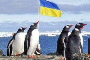 Привіт з Рівного полетів на Південний полюс (Відео)