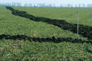 На Волині в підприємства через несплату оренди забрали землю