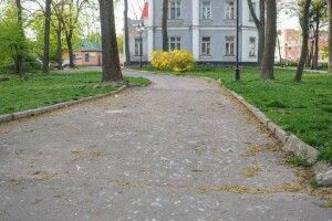 Голова Володимира-Волинського пообіцяв 50 тисяч тому, хто переселить ворон з парку