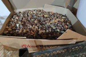 На Волині припинено спробу незаконного вивезення з України бурштину вартістю півмільйона гривень (Фото)