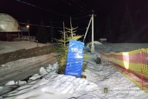 Перелом черепа: на Закарпатті 10-річний хлопчик врізався у дерево на тюбінгу 