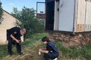 5-річний хлопчик живцем згорів у трансформаторній будці 