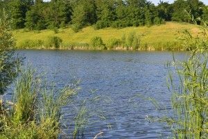 На Волині державі повернули ставок