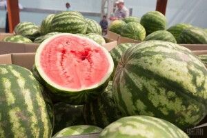 Фермери хочуть запатентувати херсонський кавун