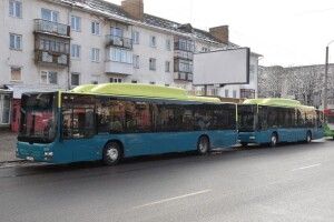 Відомо, які підприємці возитимуть лучан на 7 маршрутах 