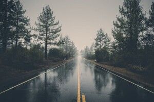 На Волині синоптики попереджають про сильні тумани