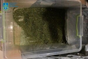 За незаконні оборудки із психотропами волинянину світить дев'ять років тюрми
