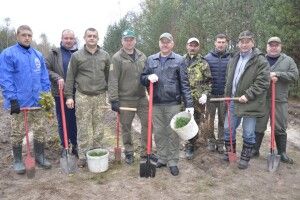 Шацькі лісівники висадили 850 саджанців сосни та дуба (Фото)