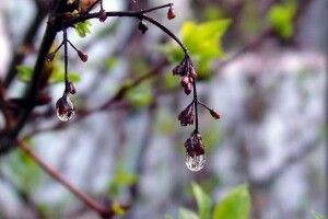 На українців чекає дощовий та холодний тиждень: прогноз на 7 днів 